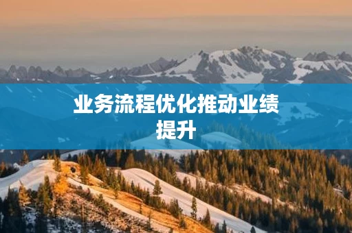 业务流程优化推动业绩提升