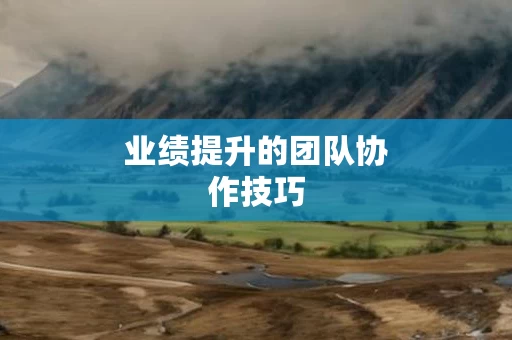 业绩提升的团队协作技巧