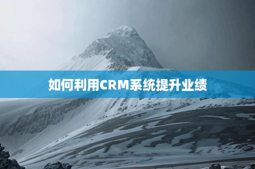 如何利用CRM系统提升业绩
