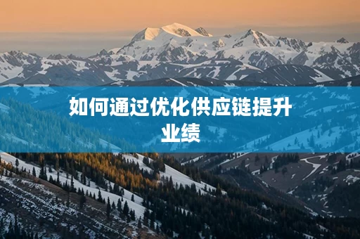 如何通过优化供应链提升业绩