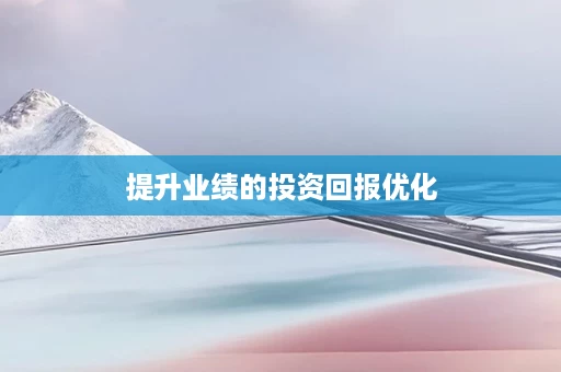 提升业绩的投资回报优化