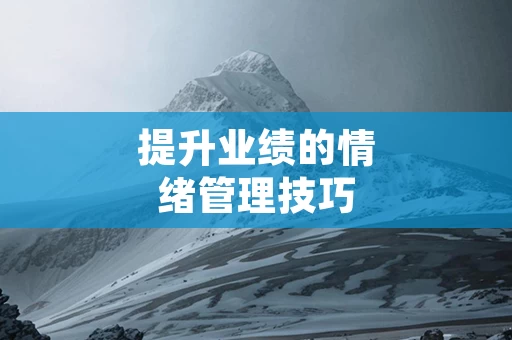 提升业绩的情绪管理技巧
