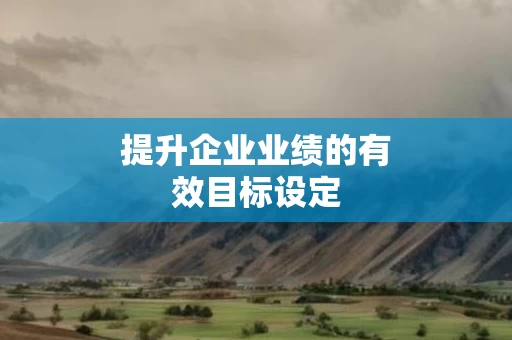 提升企业业绩的有效目标设定
