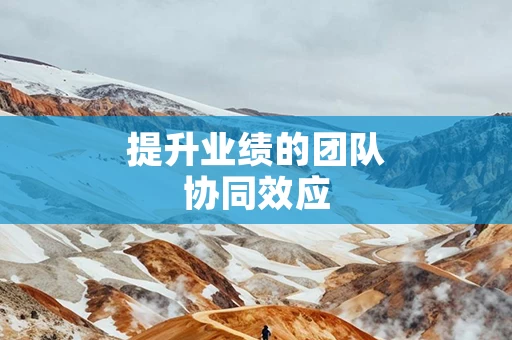 提升业绩的团队协同效应