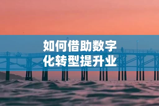 如何借助数字化转型提升业绩