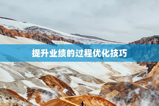 提升业绩的过程优化技巧
