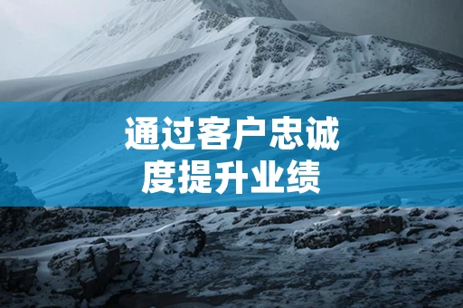 通过客户忠诚度提升业绩