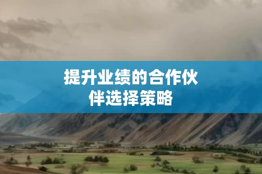 提升业绩的合作伙伴选择策略