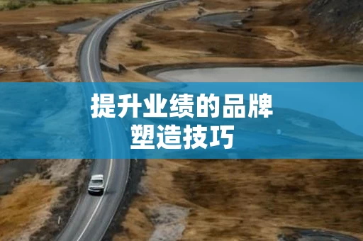 提升业绩的品牌塑造技巧