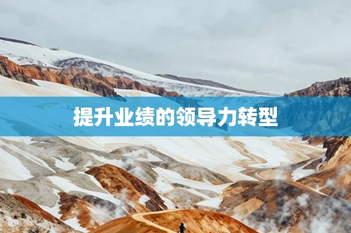 提升业绩的领导力转型