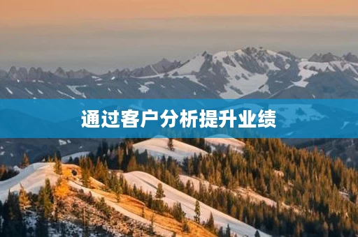 通过客户分析提升业绩