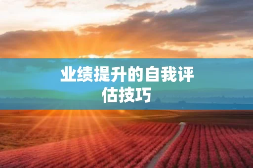 业绩提升的自我评估技巧