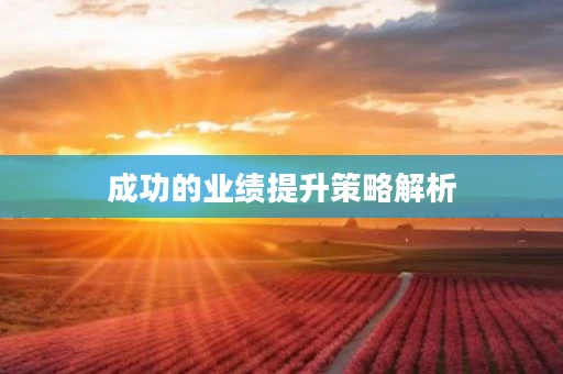 成功的业绩提升策略解析