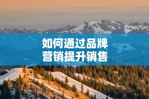 如何通过品牌营销提升销售业绩