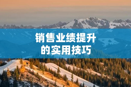 销售业绩提升的实用技巧